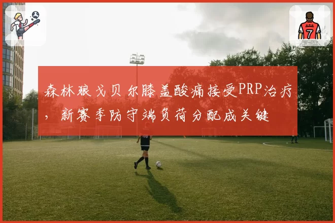 森林狼戈贝尔膝盖酸痛接受PRP治疗,新赛季防守端负荷分配成关键