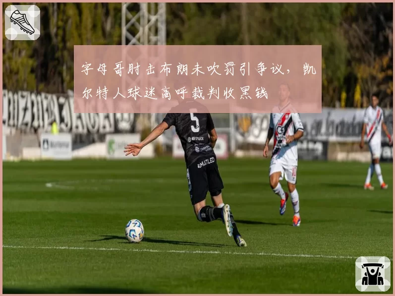 字母哥肘击布朗未吹罚引争议，凯尔特人球迷高呼裁判收黑钱
