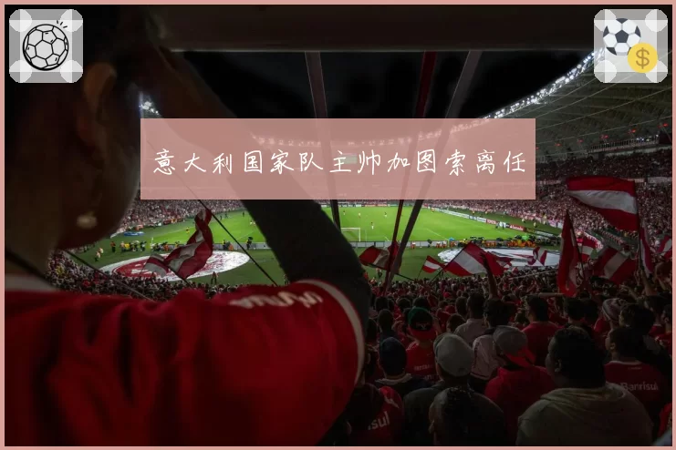 意大利国家队主帅加图索离任