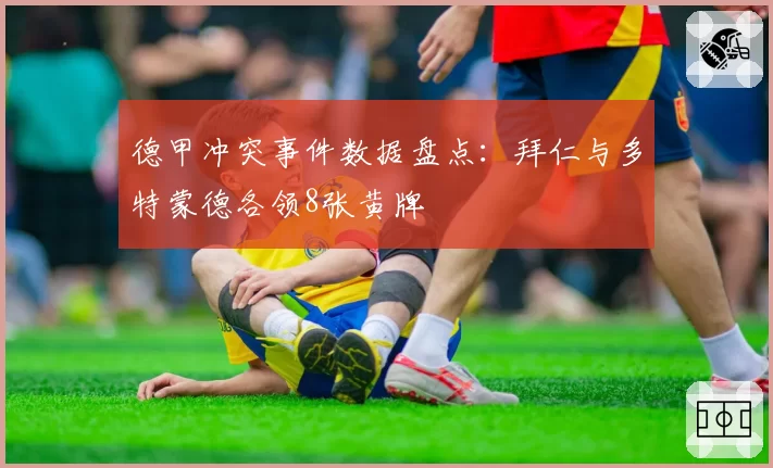 德甲冲突事件数据盘点:拜仁与多特蒙德各领8张黄牌
