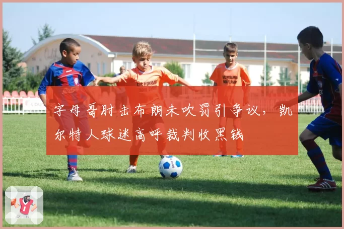 字母哥肘击布朗未吹罚引争议，凯尔特人球迷高呼裁判收黑钱