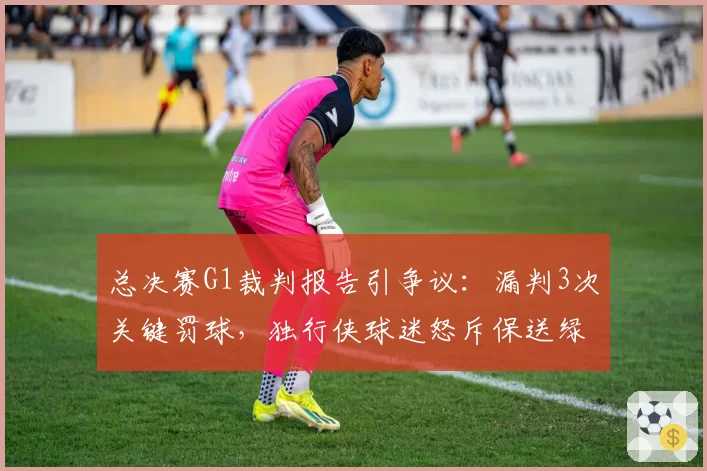 总决赛G1裁判报告引争议：漏判3次关键罚球，独行侠球迷怒斥保送绿军