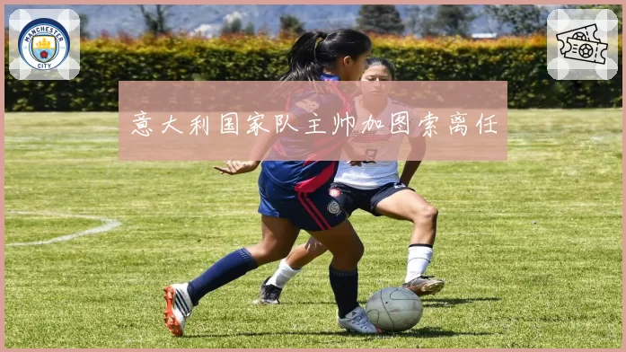 意大利国家队主帅加图索离任