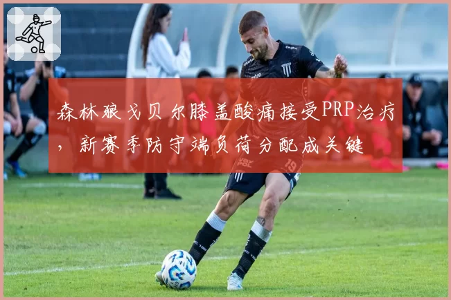 森林狼戈贝尔膝盖酸痛接受PRP治疗,新赛季防守端负荷分配成关键
